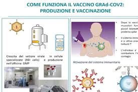 A range of vaccines are being used to reduce people's chances of getting sick, needing hospital treatment or dying. Vaccino Covid Italiano Come Funziona Basta Una Dose