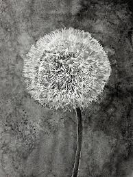 Bildergebnis für Hans Op de Beeck