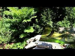 Ecoute Dans Le Vent Richard Anthony Chansons Francaises Chanson Flute De Pan
