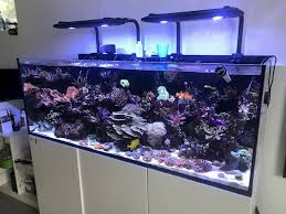 Best Led Lighting For Reef Tank 10 Best Leds For Reef Tank Reviews