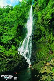 'enchanting is a word that gets kicked around a lot in travel, but if a jungle island ringed with waterfalls right out of jurassic park where. Waterfall Cocos Island Costa Rica Www Underseahunter Com Cocos Island Waterfall Places To Go