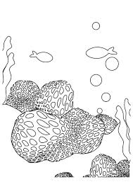 Wichtig ist aber immer, dass die angebotenen malvorlagen kindgerecht aufgemacht sind. Koralle Ausmalbilder Malvorlagen 100 Kostenlos