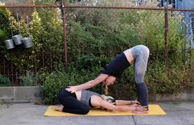 Hold the pose for two to three breaths; 17 Best Yoga Poses For Two People 2019 Guide