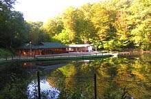 Datorită acestor mențiuni, în scurt timp sovata a fost atestată oficial ca stațiune balneară. Lacul Alunis Sovata Dn13a Balauseri Miercurea Ciuc