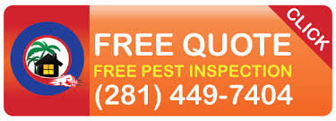 If you are interested in trying the if you find that it doesn't work out, you can always call a termite control company to take action if needed. Termite Control In Atascocita Tx Pest Control Houston Gulf Coast Exterminators