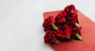 We regret that hallmark card studio for mac 2019 (and earlier) will not run on macos 10.15 catalina. 7 Best Greeting Card Software Latest 2020 Techyhost