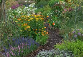 Mediterrane kräuter sind aus unserer küche nicht mehr wegzudenken. Welche Krauter Passen Zueinander Der Obi Ratgeber Hilft