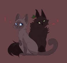 If you like warriors you can follow my account i'm warriorslover. My First Warrior Cats Related Fanart In Over 5 Years Hollyleaf And Cinderpelt Warriorcats