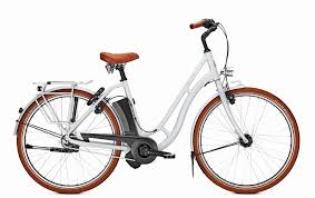 Kalkhoff Tasman Classic I8 28 Palermosilver Elektrofahrrad Ktm Fahrrad