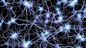 Neuroscience Top 100 of 2023