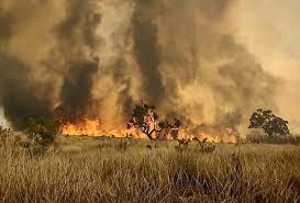 Places campinas, sao paulo business service só incêndio serviço e comércio ltda. Xibe4rowsqkyxm