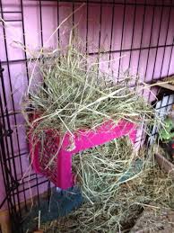 Make the most out of your space by adding additional features to your wooden rack. Hay Rack Litter Box Ideas