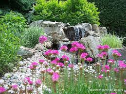 Mon coin de jardin ii (2020). Mon Coin De Jardin Plants Garden