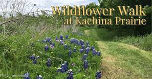 The rule of thumb is you can pull off on the side of any road as long as you do not block driveways or fire hydrants. Wildflower Walk Ennis Bluebonnet Trails Kachina Prairie Ennis 16 April 2021