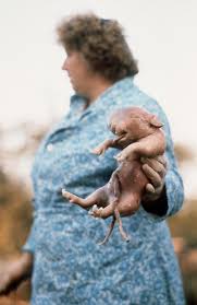 More than 350,000 people have been relocated away from the most severely contaminated areas, 116,000 of them immediately. Chernobyl Horrifying Photos Of Chernobyl Nuclear Plant Accident And Its Aftermath Cbs News