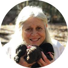 Margo Roman's Instagram, Twitter & Facebook