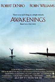 Ver Pelicula Despertares Online Completa