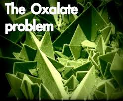 A Cautionary Tale About Foods High In Oxalates Its About
