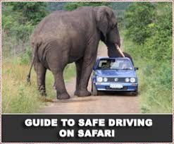 Even that distance gives a driver less than two seconds to react if the trucker suddenly slams on the brakes. Guide To Safety And Driving On Safari Driving In The Nature Reserve Arrive Alive