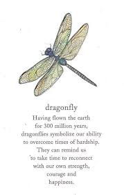 Pin By Gail On Dragonfly Art Dragonfly Quotes Dragonfly Tattoo Dragonfly