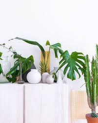 Interior Einrichtungsidee Mit Ikea Ivar Einer Sammlung Vasen Diversen Pflanzen Und Blattern Vintage Gruner Wohnen Diy Interior Plants Instagram