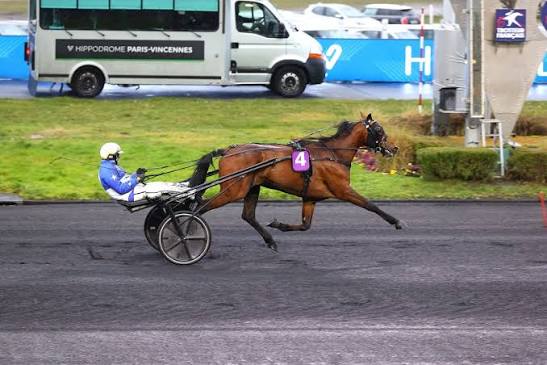 3 juillet- Sprintermästaren : Free Time Jepson, le cheval à battre