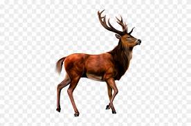 Animals Clipart Png Cartoon Animals Png Cute Animal Transparent Background Deer Clipart Free Transparent Png Clipart Images Download Download the deer, animals png deer (singular and plural) are the ungulate ruminant mammals forming the family cervidae. animals clipart png cartoon animals png