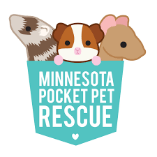 Congratulations on taking the first step to bringing a new family member into your home! Pets For Adoption At Mn Pocket Pet Rescue In Saint Paul Mn Petfinder