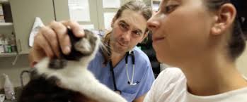 Escuelas, refugios y guarderías en Arizona tendrán que reportar cualquier  brote de coronavirus