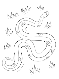 To print this picture just position your cursor over the image and press the right button on your mouse, then select the print option. Parentune Free Printable Snakes Coloring Pages Snakes Coloring Pictures For Preschoolers Kids