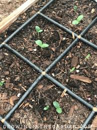 By alternating sections of soaker hose and garden hose, you can set up a watering system in minutes that applies water where you need it — and not where you don't. Best Way To Water Raised Bed Gardens Growing In The Garden