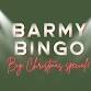 Barmy Bingo Christmas Special ft Sam Biggs event image