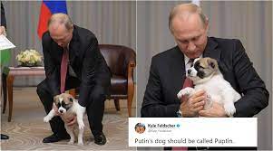 A man in ukraine has found a canine whose piercing gaze is strangely reminiscent of president vladimir putin's. Photos Of Vladimir Putin With Puppy Gifted By Turkmenistan President Have Become A Hit Meme Trending News The Indian Express