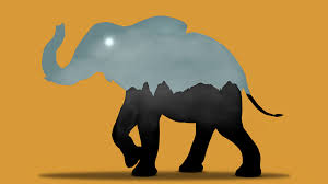 Sketsa cara gambar gajah gambar sketsa gajah nampak depan . Sketsa Gajah Kertas Dinding Gambar Gratis Di Pixabay