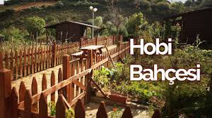 Bu blog yazımızda hobi bahçesi yapmak isteyenler için ufak ipuçları. Hobi Bahcesi Nasil Yapilir I Hobi Bahcesine Ruhsat Cikarmi I Konteyniri Olan Hobi Bahcesi Alinirmi Youtube