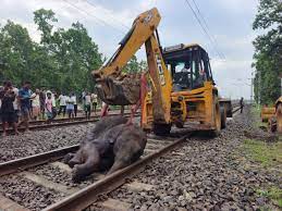 ❤️‍🩹❤️‍🩹BREAKING HORRIFIC NEWS!! 💔💔 In a tragic accident on July 17th,  three elephants, including calves, were killed after being hit by a  speeding train near the Bashtola area. These poor elephants were
