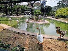 Clean room and all staff very friendly. A Day At The Kl Bird Park Badly Explained And Illustrated With 29 Ish Photos Captions