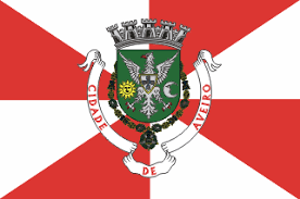 Bandeira portuguesa cortada para quadrado (feito manualmente). Bandeira De Portugal Gif Png Get Images
