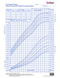 24 Expert Year And Weight Chart