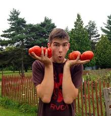 About The Migardener Crew Powdery Mildew Organic Vegetable Seeds Growing Organic Tomatoes