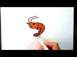 Draw the beginning parts of the shrimp's head by drawing a narrow pointed spear, and then draw in a circle for the eye. How To Draw Shrimp For Kids Step By Step Easy Drawing Tutorial Youtube