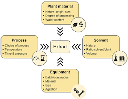 Friday 9/30/2011 using the 6th grade science book, worksheets, and internet, design a plant or animal cell model. Extraction Of Natural Fragrance Ingredients History Overview And Future Trends Burger 2019 Chemistry Amp Biodiversity Wiley Online Library