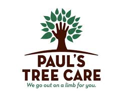 37 homes for sale in toledo, wa. Paul S Tree Care Home Facebook
