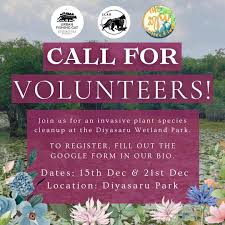 Post after AGES! We've started awareness programs at local schools this  year. And the first to invite us for a session was the Vidyaloka Vidyalaya  School in Hokandara. 🌳 Vidyaloka Vidyalaya is