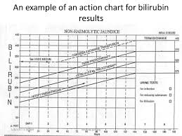 12 Disclosed Bilirubin Risk Chart