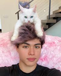 Alex Stokes (@alexstokes) • Instagram photos and videos