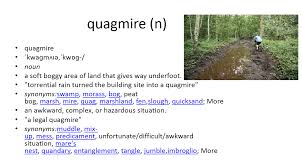 Quagmire Vocabulary Cards Vocabulary Flash Cards Vocabulary