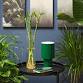 IKEA Green Living: World Environment Day