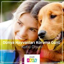 Dunya Hayvanlari Koruma Gunu Kutlu Olsun Sessiz Dostlarimizin Yardimcisi Olarak Onlari Koruyalim Cunku Yasam Onlarla Guzel Hayvanlar Hayvan Ordu