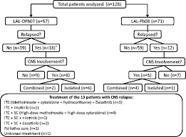 It consists of the brain, spinal cord and the retinas of the eyes. Study Flow Chart Treatment Details For The All Patients With Central Download Scientific Diagram